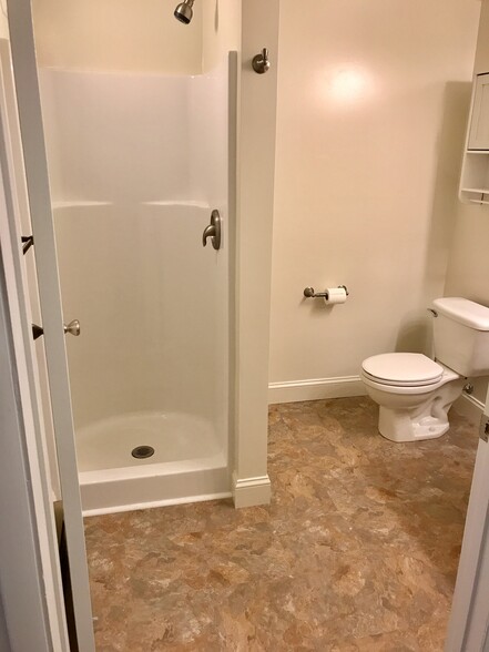 bathroom - 318 East Patrick Street
