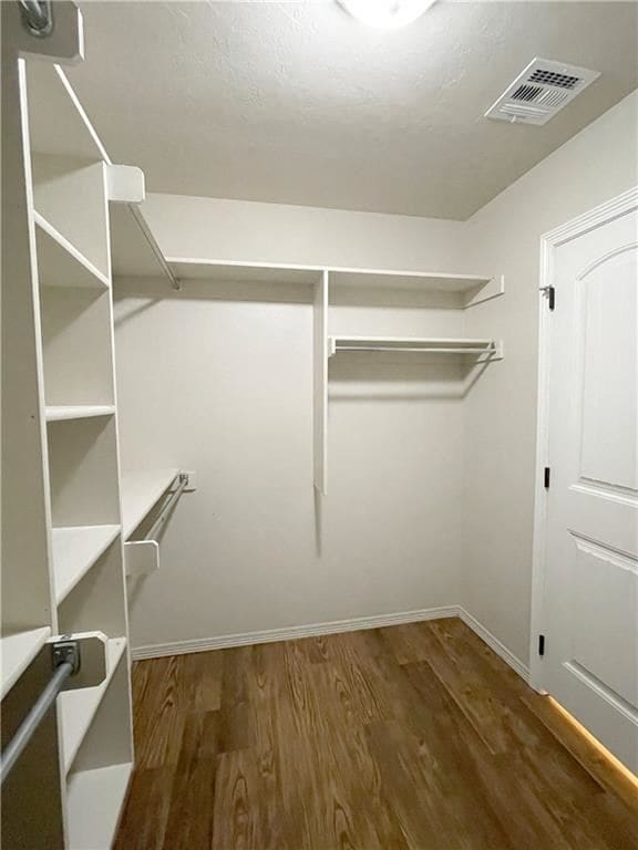 Building Photo - 2117 Buena Vida Ln