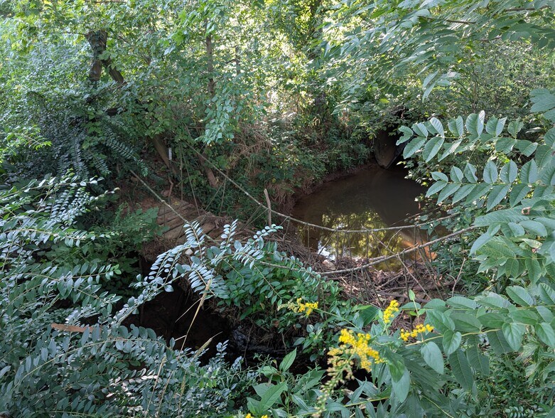 Twin Creeks runs through the property - 7713 Martin Mill Pike