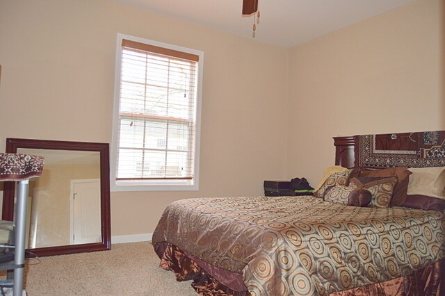Building Photo - Pet Friendly Five Bedroom with Basement!