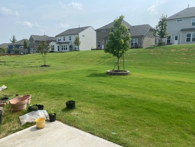 Building Photo - 439 Parlier Dr