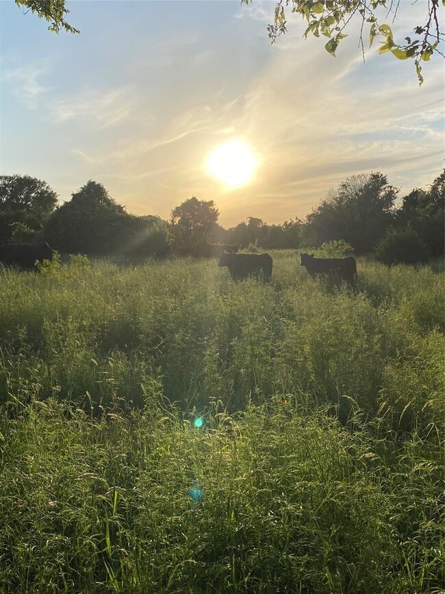 Building Photo - 12910 Council Bluff Dr