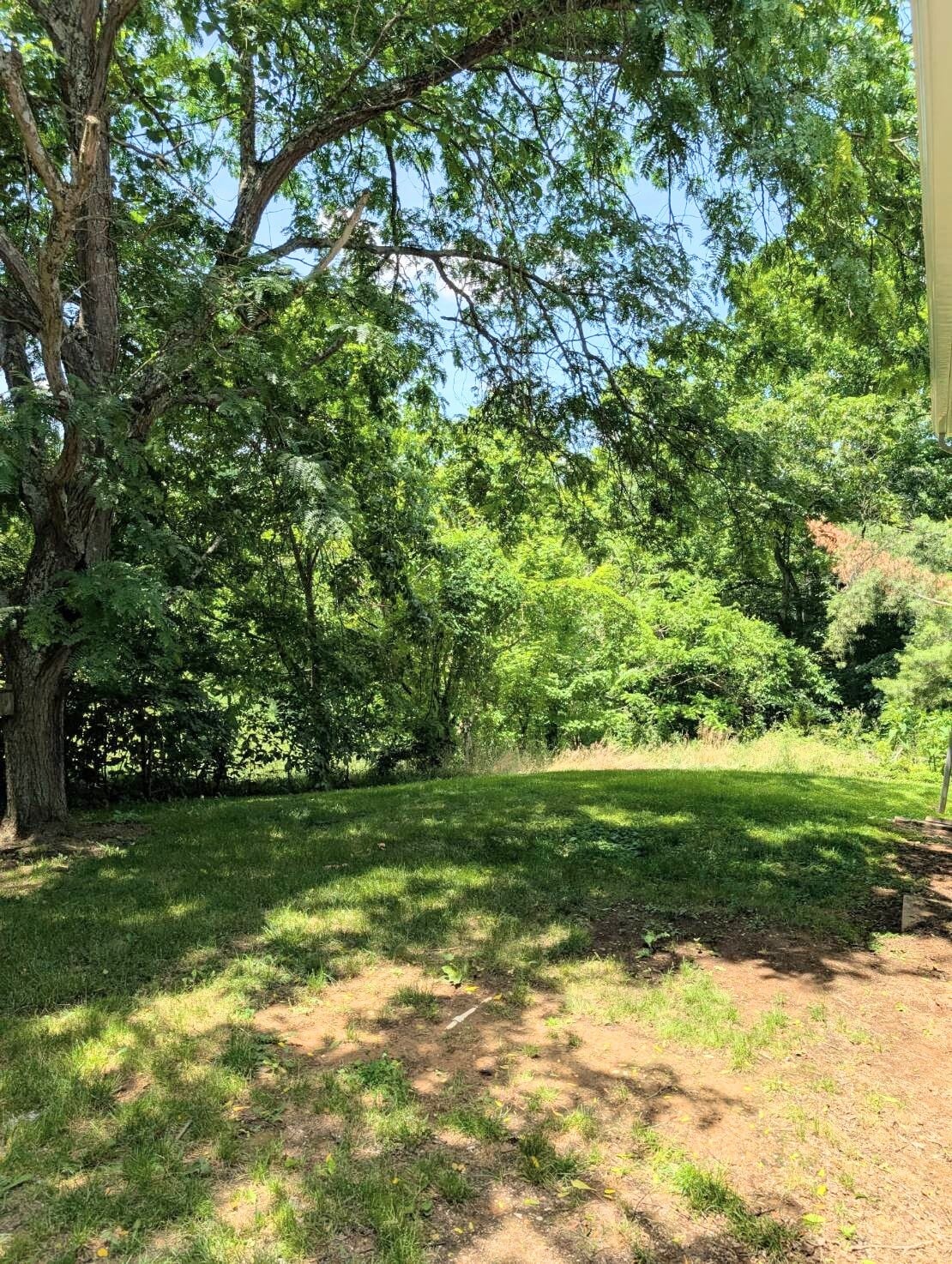 Building Photo - 358 Henson Ln