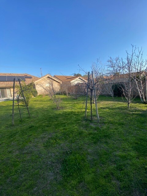 Back Yard 2 - 6257 Fallbrook Ave