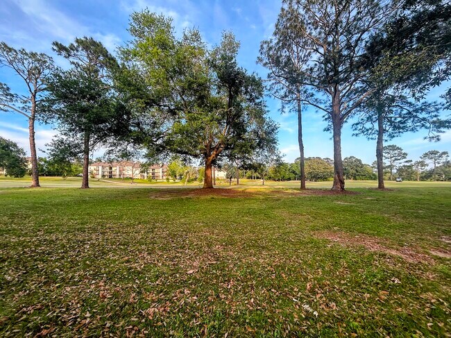 Building Photo - 2729 Blair stone Ln