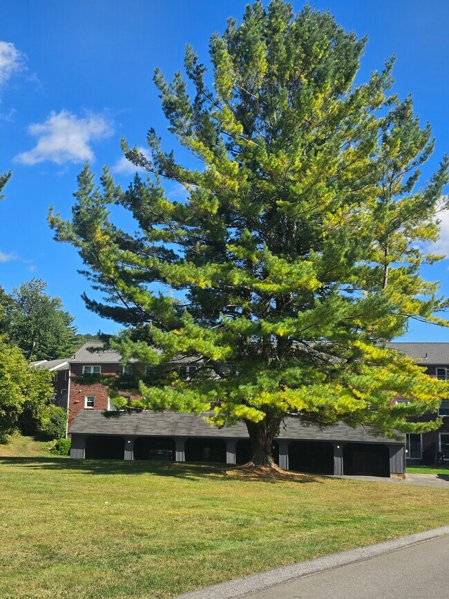 Building Photo - 17 Old Farms Ln