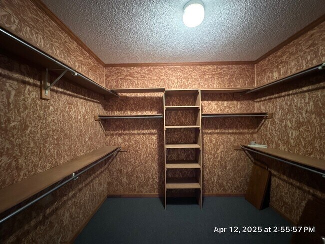 Building Photo - Gorgeous Home on the Lake in Lakeland!!