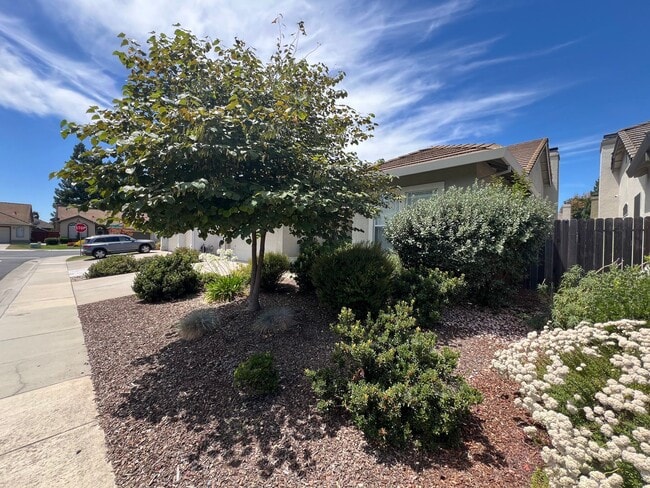 Building Photo - Spacious Single Story 3 Bd, 2 Ba Home in S...
