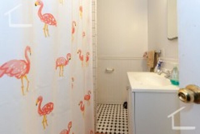 Building Photo - BU Central Campus 4 Bed/2 Bath Condo on Egmont St for September 1st, 2026.  NO BROKER FEE!!!!