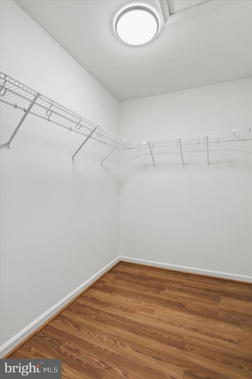 Building Photo - 60 Icelandic Ct