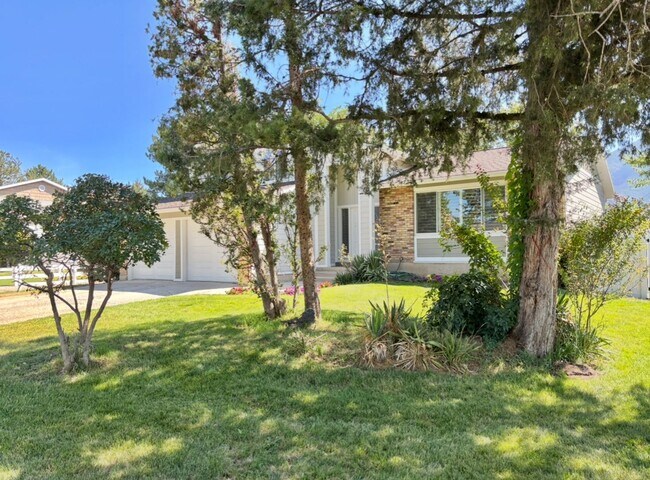 Building Photo - Mountain Views at Meadow Cove on 1/4 Acre ...