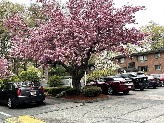 Building Photo - 1325 Worcester Rd