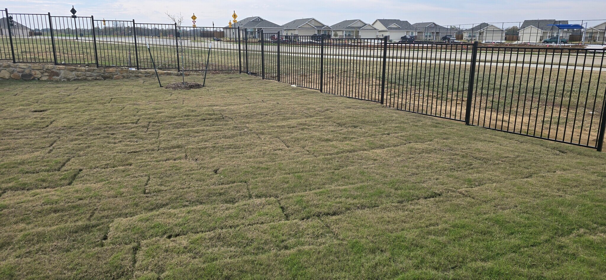 Building Photo - 3157 Burmese St