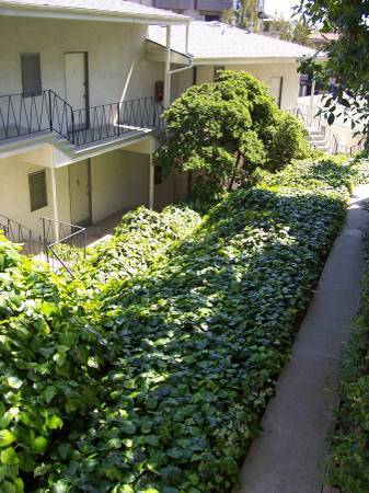 Building Photo - 667 Levering Ave