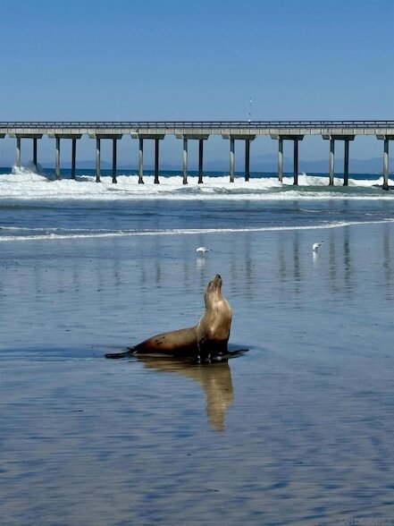 Building Photo - 8263 Camino Del Oro