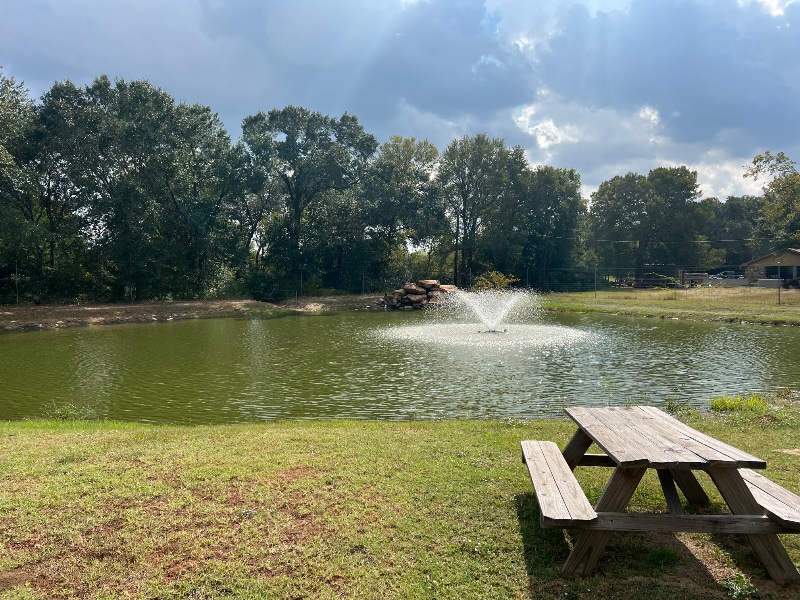 Building Photo - 40 CR 267