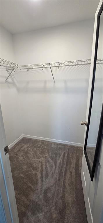 Building Photo - 9478 Silver Buttonwood St