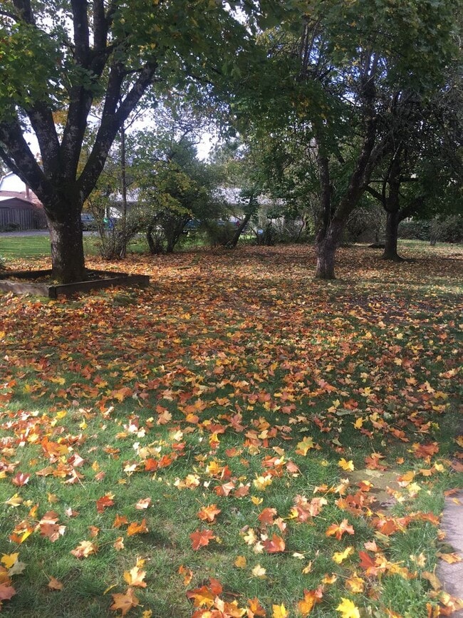 Building Photo - Adorable2 bedroom SE Portland home with 1/2 acre large backyard.