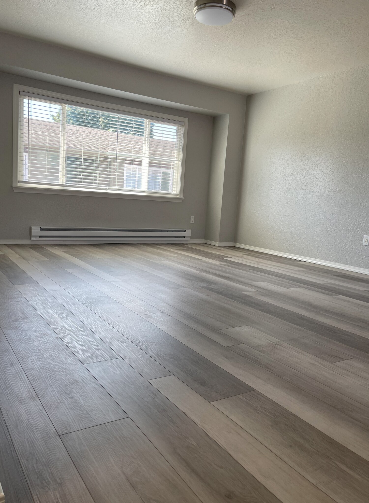 Living Room - 11025 16th Ave SW