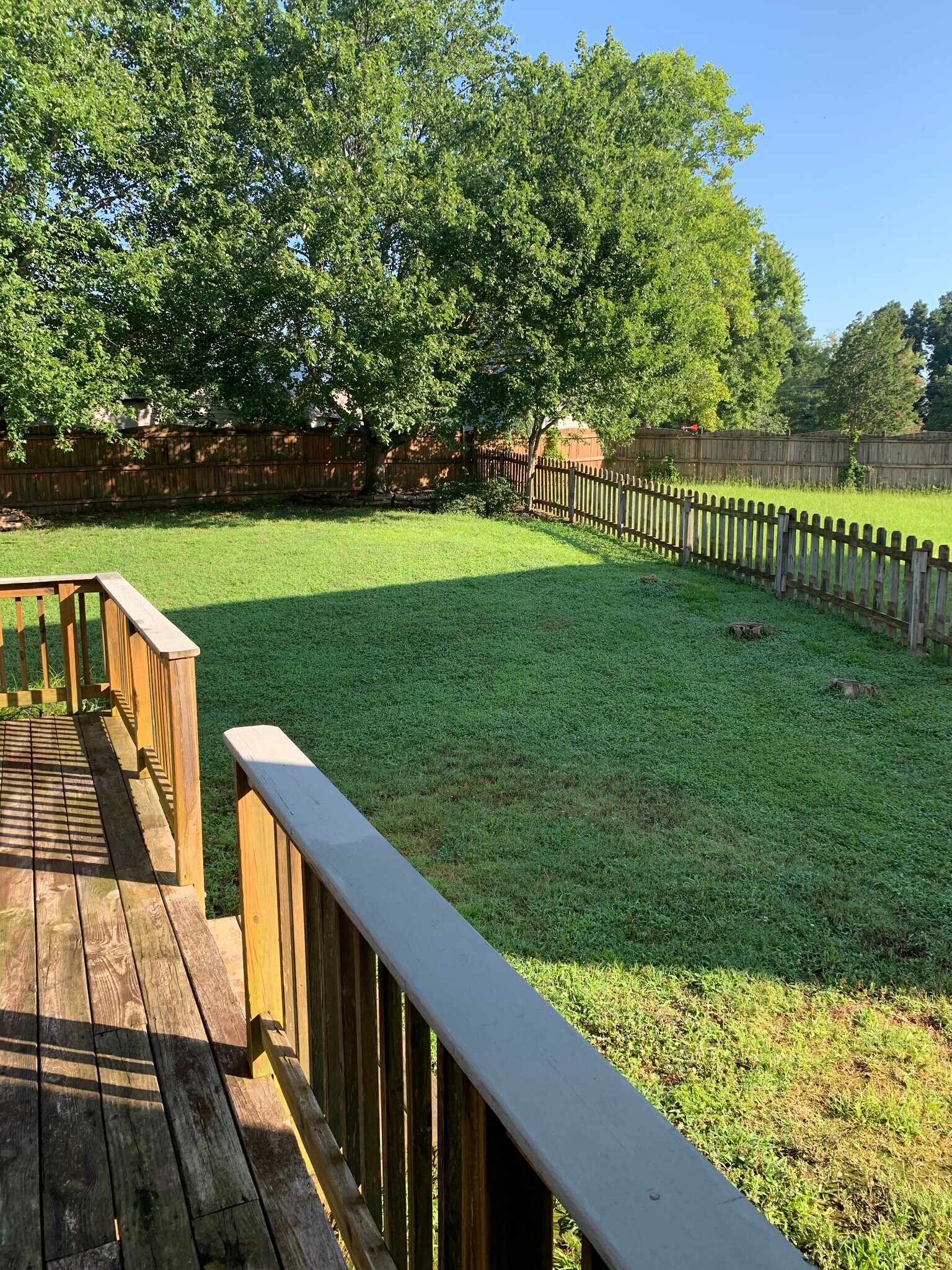 back yard - 5420 Phillipsburg Dr