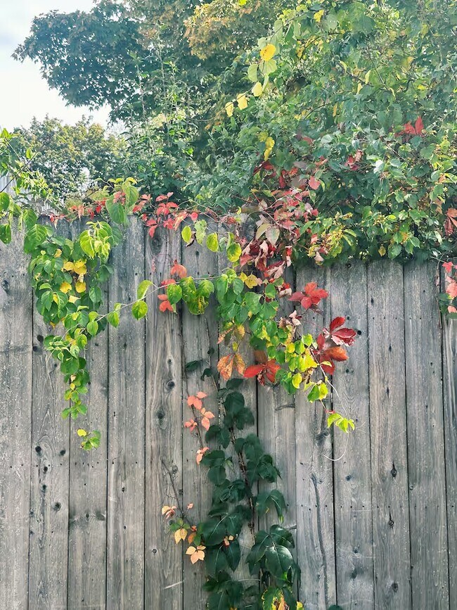 Building Photo - 14 Sterling Rd