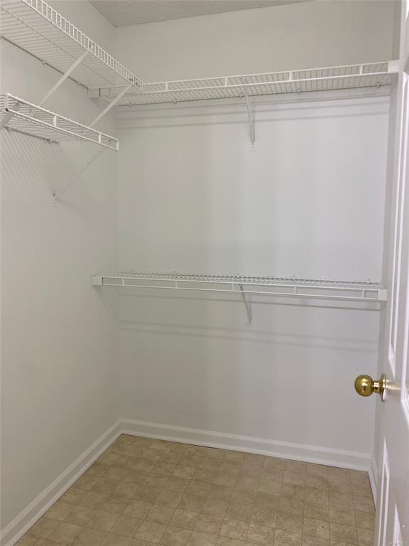 Building Photo - 119 Blushing Groom St