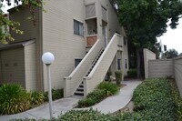 Building Photo - 1420 Foothill Meadows Ct