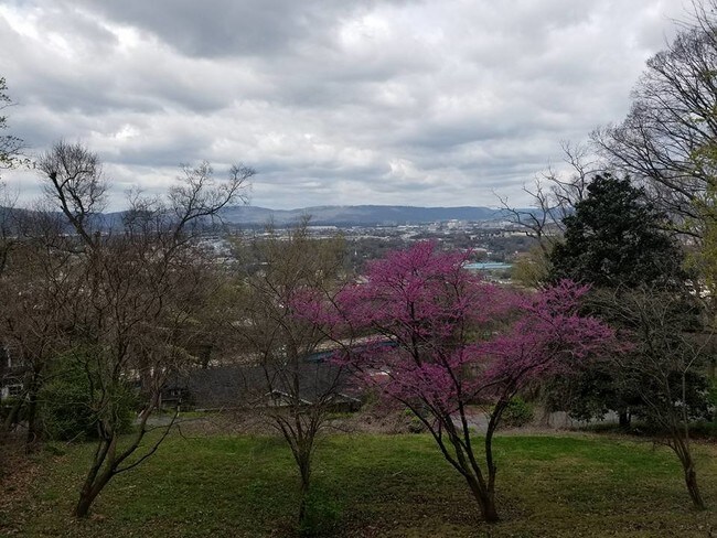 Building Photo - 1801 Sunset Terrace