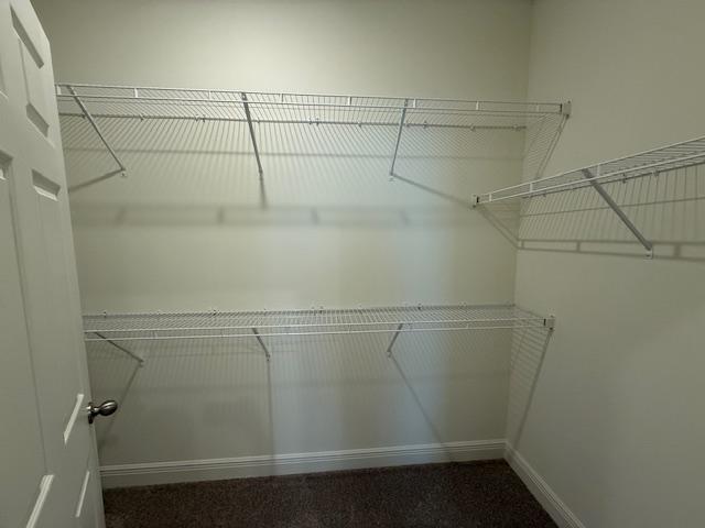 Building Photo - 2942 Embrace Way