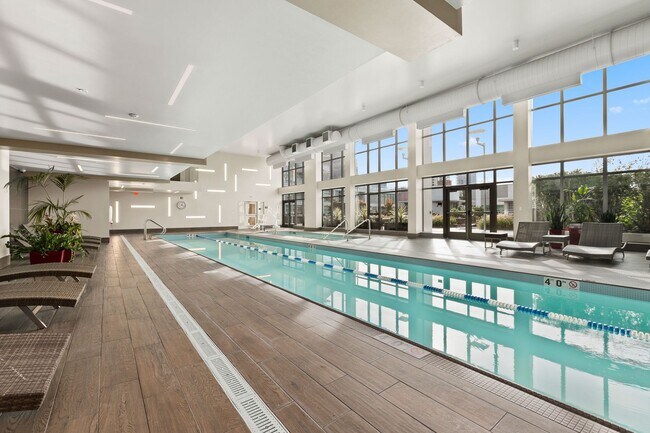 Building Photo - Stellar Denny Triangle Luxury Condo