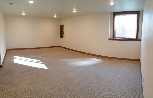 Lower Level Living Space - 1728 Lily of the Valley Dr