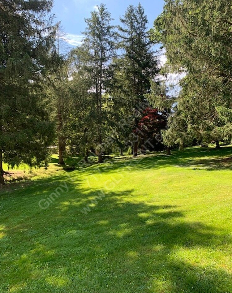 862 Iron Ridge Rd - Shared Yard & Grounds - 862 Iron Ridge Rd