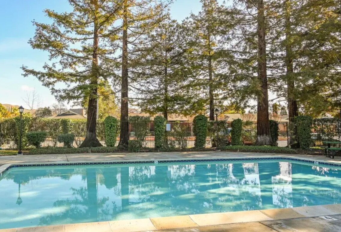 Swimming Pool - 5460 Concord Blvd