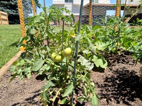 Building Photo - 8840 W Jewell Ave