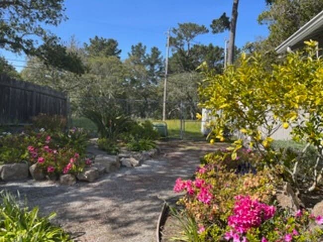 Building Photo - Great Four Bedroom, Three Bathroom House in Monterey