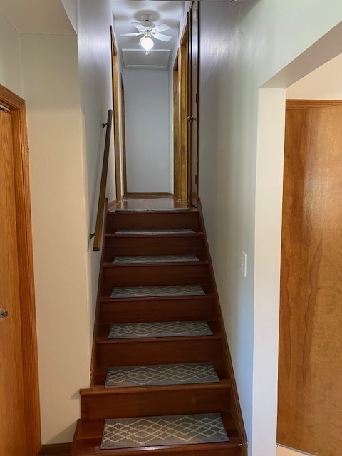 Building Photo - 253 Kimbell Ave