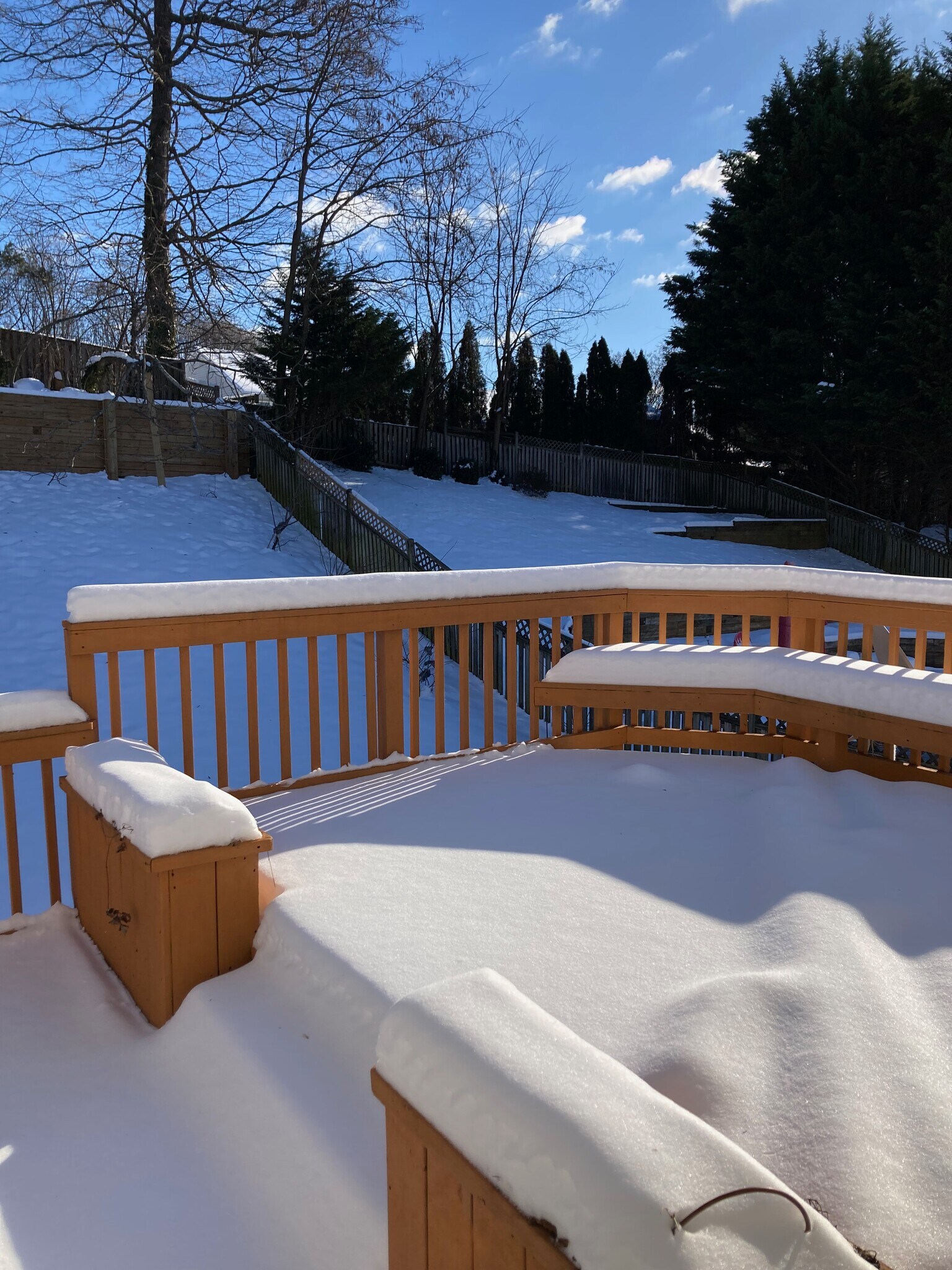 Building Photo - 3203 Trellis Ln