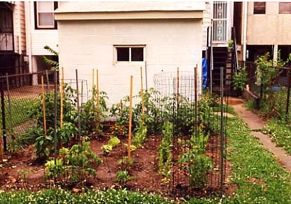 Building Photo - 1121 Oates St NE