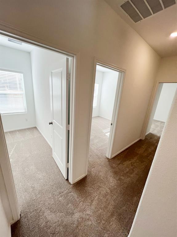 Building Photo - 1127 Catfish Ln