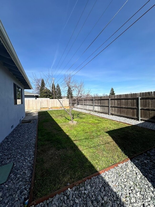 Building Photo - New exterior paint!  LVP flooring! Large y...