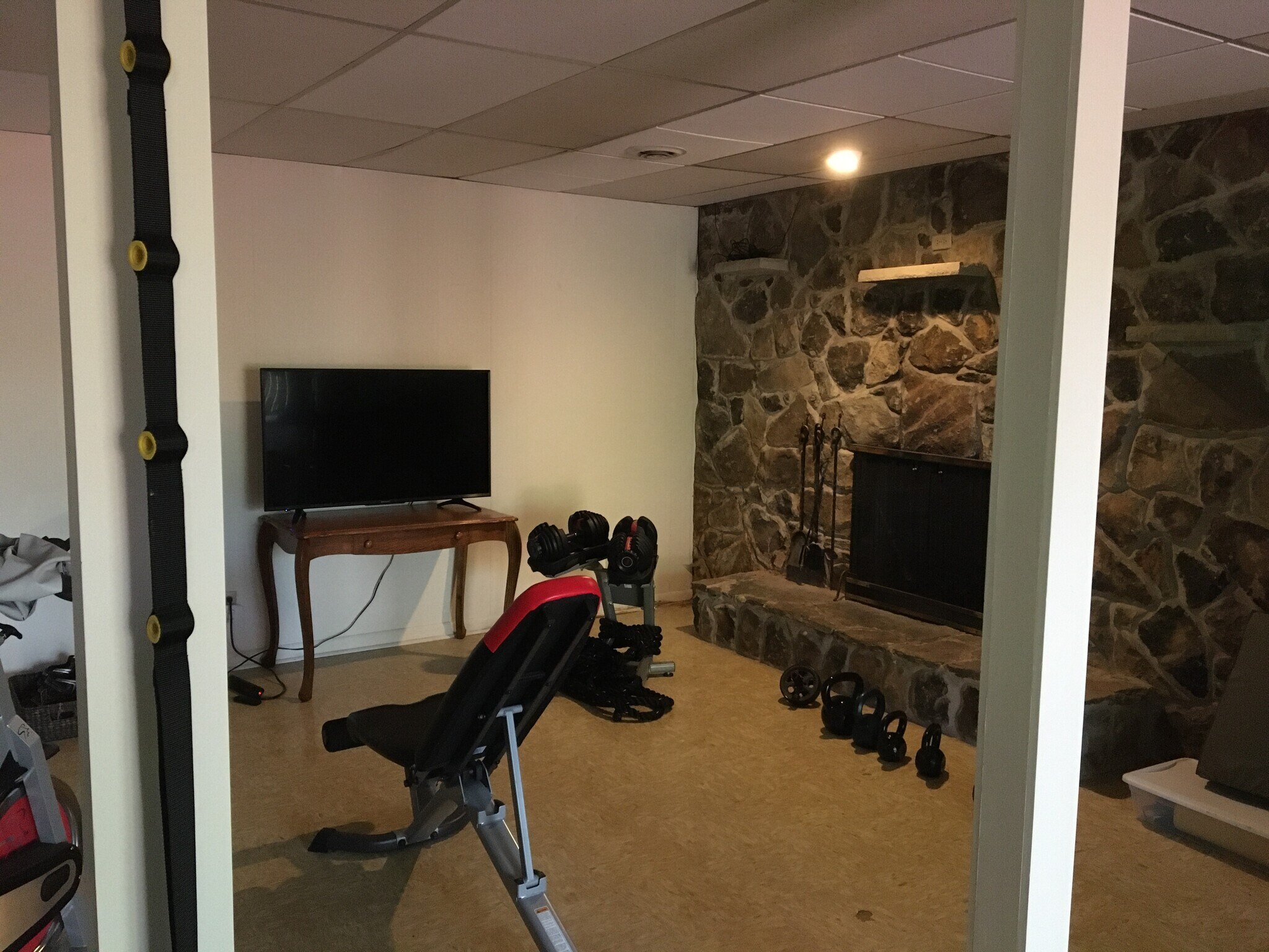 Family room (lower level) - 116 Oakview Dr