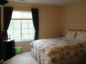 Second Bedroom - 2516 Camberley Cir