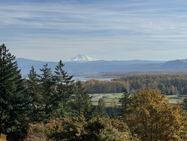 View from Top Decks - 968 NW 4th Ave