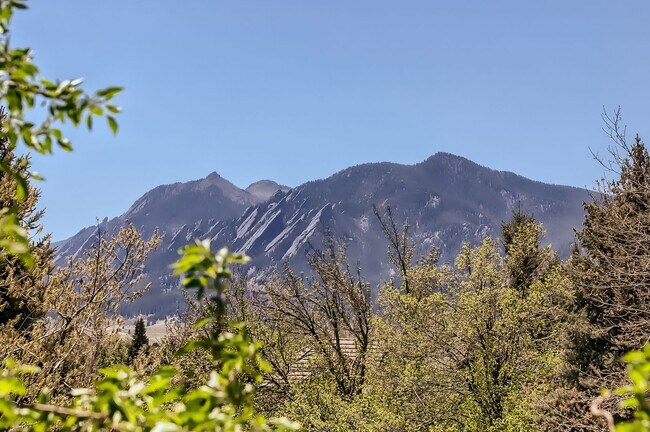 Building Photo - Modern 1 BDR Condo in Holiday Neighborhood