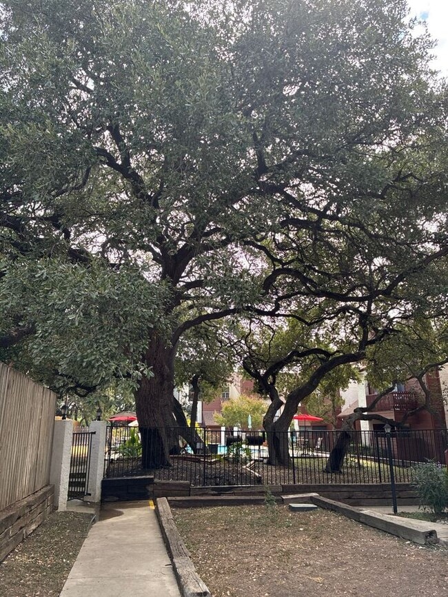 Building Photo - 1BR/1.5BA w/ Fireplace • Balcony • Pool Access in San Antonio