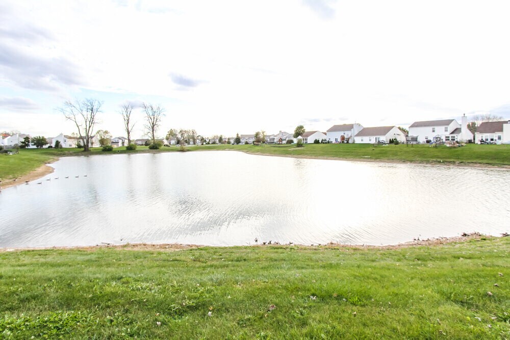 Building Photo - 2534 Mingo Ln