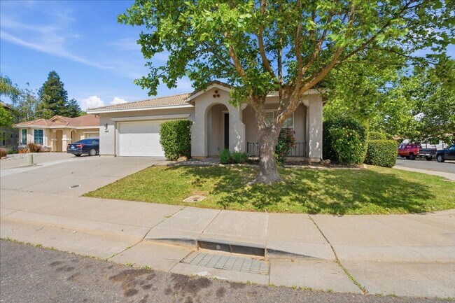 Building Photo - 4143 Cahakia Pl