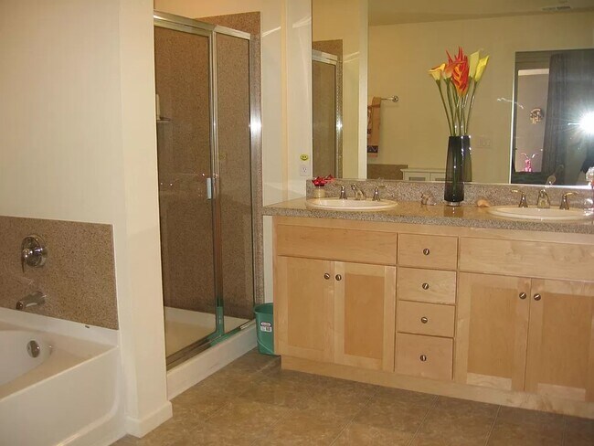 Master Shower vanity - 800 N 8th St