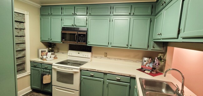 Plenty of Counter Space & EVEN MORE Cabinet/Pantry Space! - 416 Doucet Rd