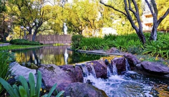 Building Photo - 350 N Civic Dr